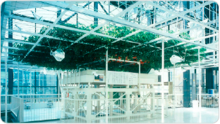 国際科学技術博覧会(つくば万博)に「巨木トマト」出展